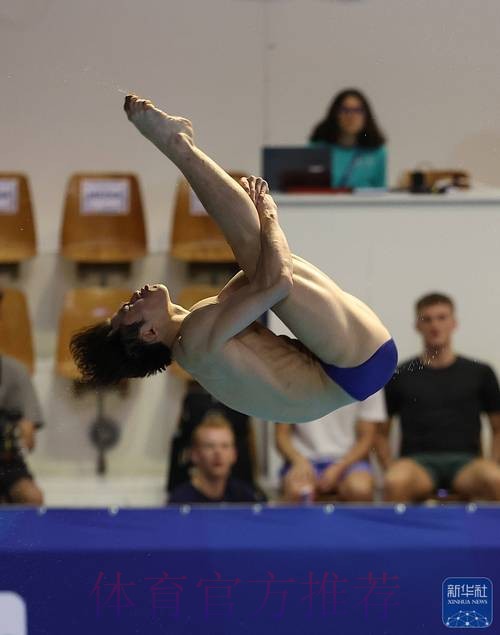 中国跳水协会第二届会员代表大会召开 中国跳水协会第二届会员代表大会召开